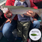 Deluxe Rainbow Trout Kit of 11 Lures image 16