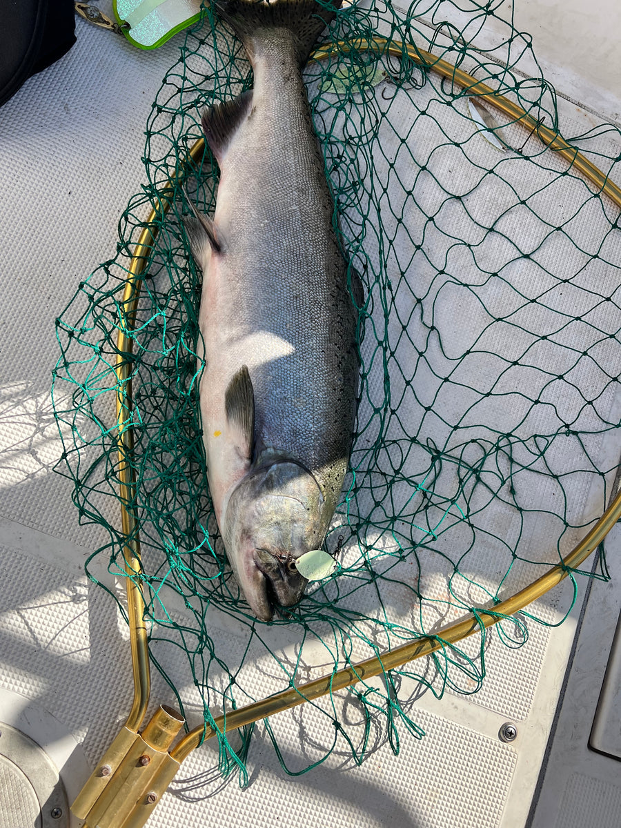 Super Mint UV for Salmon
