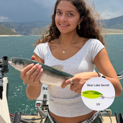 Deluxe Rainbow Trout Kit of 11 Lures