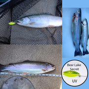 Deluxe Rainbow Trout Kit of 11 Lures image 14
