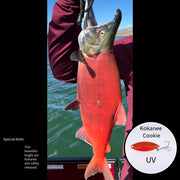 Kokanee Salmon Kit of 9 Lures image 9